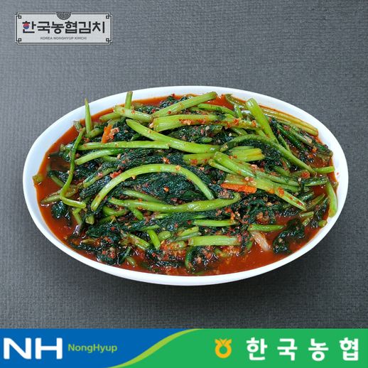 한국농협김치 전라도 순천 남도 열무김치 1kg - NS홈쇼핑
