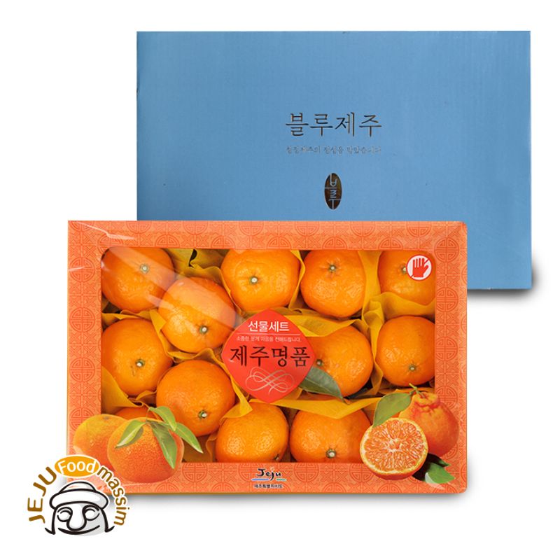 블루제주 남진해(귤로향) 3kg (선물용/12-16과/실중량) - NS홈쇼핑