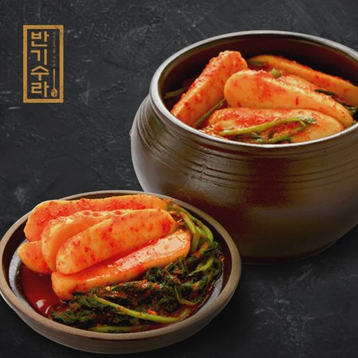 [eTV] 양희경 진심 담은 총각김치 5kg - NS홈쇼핑