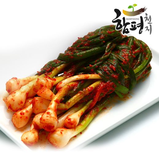 [함평천지] 함평나비골 남도식 파김치 5kg / 무료배송 - NS홈쇼핑