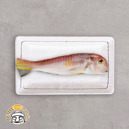 제주올레마켓 싱싱제주 통옥돔 110g x 3팩 (소, 냉동) - NS홈쇼핑