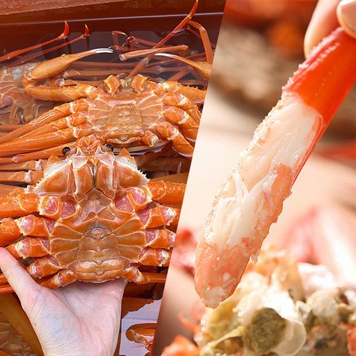 [신선담다]동해안 자숙 홍게 2kg/3kg 외 찐 홍게다리 1kg - NS홈쇼핑