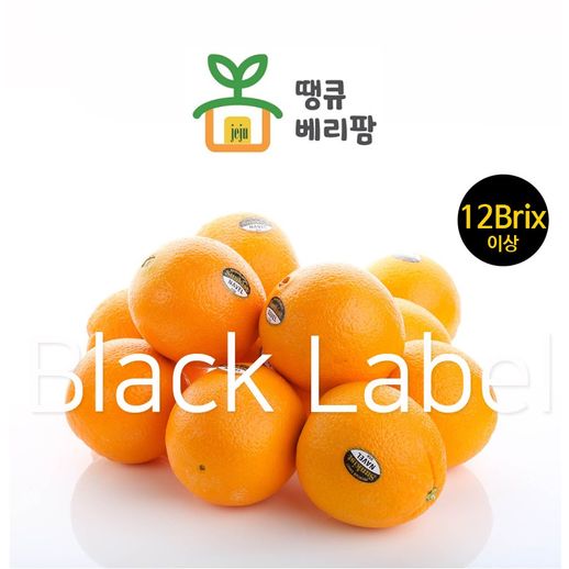 [제주땡큐베리팜]달콤함이 한가득! 고당도 오렌지 - NS홈쇼핑