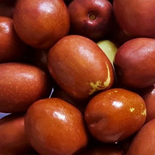 충북 보은 햇 생대추 손별초 0.5kg + 사과대추 0.5kg - NS홈쇼핑