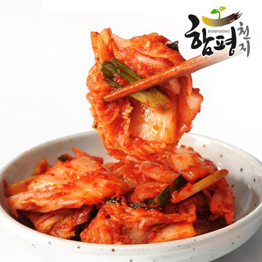 함평천지 전라도 맛김치 10kg - NS홈쇼핑
