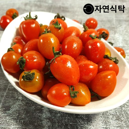 G 고당도 스테비아 단마토, 대추방울 샤인마토 500g x 4팩(2kg) 실중량 - NS홈쇼핑  G 고당도 스테비아 단마토, 대추방울 샤인마토 500g x... 