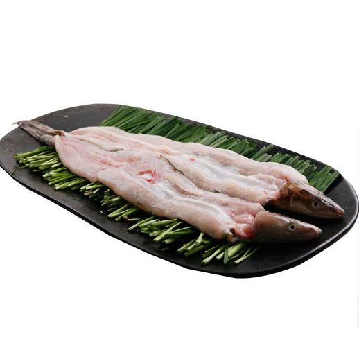 국내산 싱싱 손질 활장어(특대)800g(2미) - NS홈쇼핑 국내산  싱싱 손질 활장어(특대)800g(2미) - NS홈쇼핑