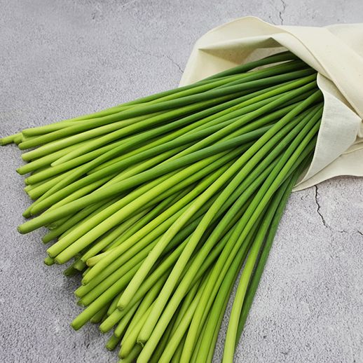 [태화농산]남해 마늘쫑 특품 2kg(30cm 이상) - NS홈쇼핑