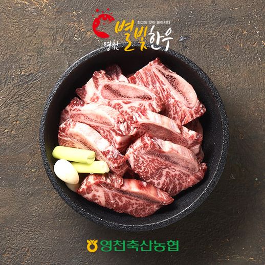 [냉동][영천축협]영천별빛한우 찜갈비600g / 1등급이상 - NS홈쇼핑