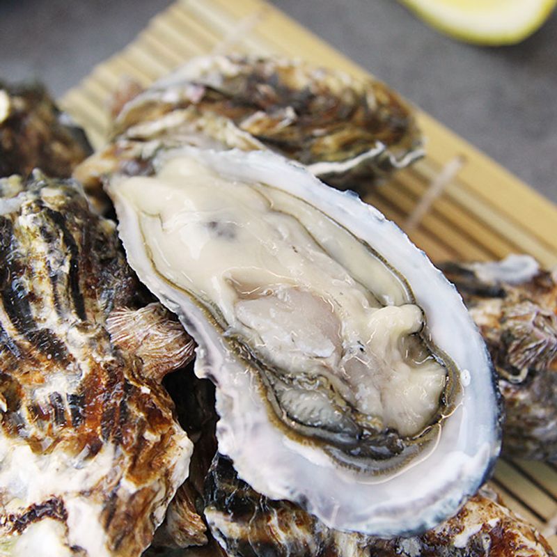 통영 중앙시장 굴구이 (Tongyeong Jungang Market Oyster Barbecue)