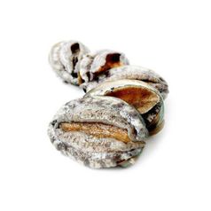 완도 참 전복 1kg(15-16미) / 아이스박스포장