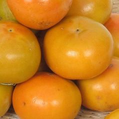 아삭한 경남 햇 단감 10kg 옵션 선택(실중량)