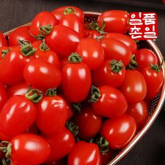 부여 대추방울토마토 5kg (3~4번과)