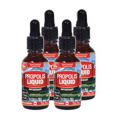 통라이프-플라보노이드 -프로폴리스 액상 30ml-구강 항균작용 항산화에도움-4병