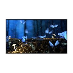 삼성 QLED TV KQ55QA60AFXKR 벽걸이형 무료 ..