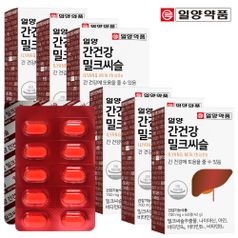 일양약품 간건강 밀크씨슬 60정 (6박스/12개월분)