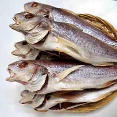 속초 중앙시장 맛집 반건조 민어 35cm 2마리