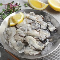 경남 통영 생굴(알굴) 2kg