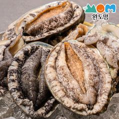 완도 활전복 大 12-14미 1kg + 전복세척솔 추가구성