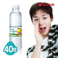 오리온 닥터유 제주용암수 330mL x 40pet