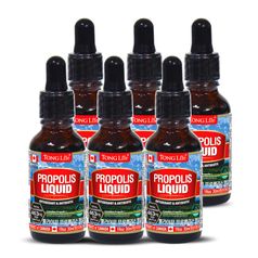 통라이프-플라보노이드- 프로폴리스액상30ml 6병