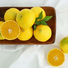 제주 황금향 가정용 2kg / 3kg / 5kg / 10kg