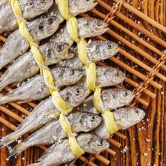 국내산 천일염으로 염장한 참굴비 40미 (+선물세트)