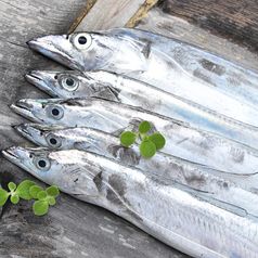 제주 은갈치 진공포장 갈치 구이 조림