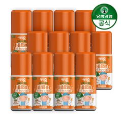 해피홈 모기기피제 아웃도어 롤온 50g x 12개