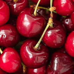 워싱턴 빙체리 800g(9.5row) /2세트 주문시 1.8kg