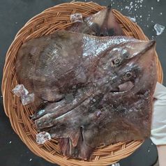 100% 국내산 자연산 반건조 손질 간재미*3미/미당 300g내외