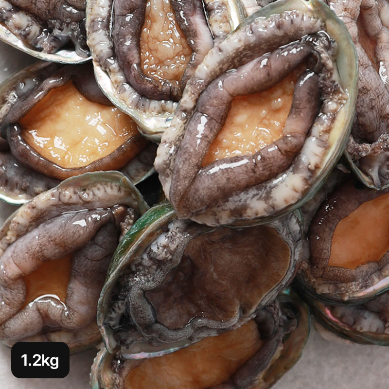 완도 한입활전복 1.2kg(35~45미)5%쿠폰+구매 후 3천원 적립