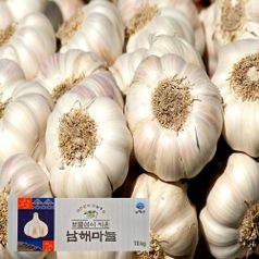 남해군 농협조공 햇 마늘 특등급 국산 남도마늘 통마늘 제철 채소 저장용 김장 요리 장아찌