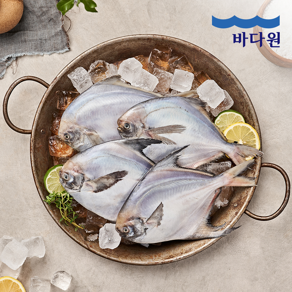 [바다원] 국내산 비늘제거 은병어 300g(2미) 3팩/5팩/7팩