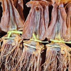 두툼하고 부드러운 쫄쫄이 오징어 마른 건조 건오징어 건어물 주전부리 술안주