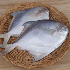 신안 자연산 내장손질 은병어 450g(팩당 5미) x 1팩 외