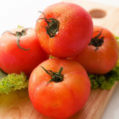 포미식탁 완숙 토마토 찰토마토 (M-2S) 2kg (개당100~150g)