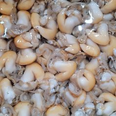 국내산 노랑새조개 급냉 200g 2팩