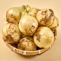 26년 무안 햇양파 5kg 특대 외