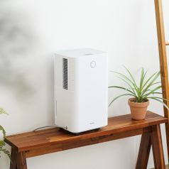 보국전자 컴팩트 제습기5%쿠폰+구매 후 2천원 적립