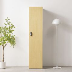 (착불) 에버 2단 락카장 캐비넷 옷장 헬스 락커룸 사무용 신발장 개인 사물함