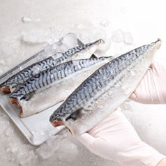 노르웨이 왕특대 고등어 180-210g x 10팩 노르웨이산지가공 한번얼린 고등어