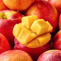 달콤한 과즙가득, 경북 망고복숭아 1kg 10과내외