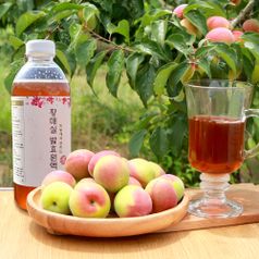 하동에서 전하는 3년 저온숙성 황매실청 1000ml 3병 (발효원액)