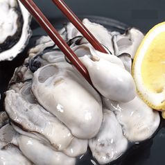 통영 산지직송 제철 생굴 1kg 외