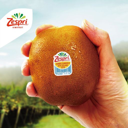 제스프리 썬골드키위 슈퍼점보과 1.7kg (11입,개당 155g내외)5%쿠폰+구매 후 3천원 적립