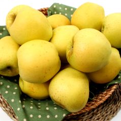 ★동일구성 2세트 구매시 5kg 발송★당도보장 황금사과 시나노골드 2kg(9~12과)