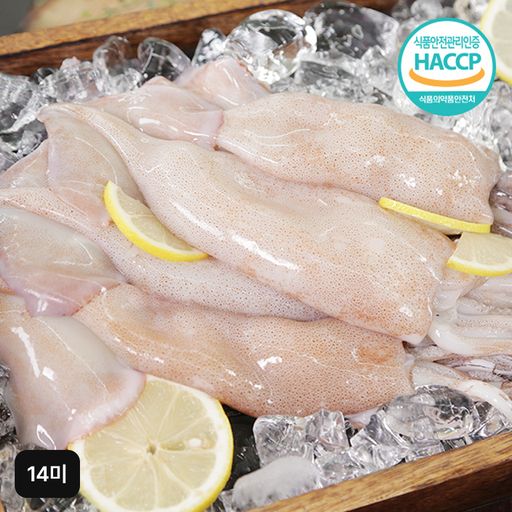 김하진 국내산 손질통오징어 14미 (240g(2미)X7팩) 5%쿠폰+구매 후 3천원 적립