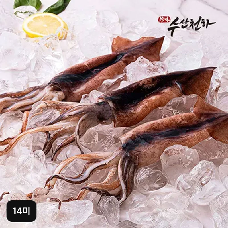 (방송에서만 2팩 더)수산천하 더 커진 국내산 손질 통오징어 14미5%쿠폰+구매 후 3천원 적립