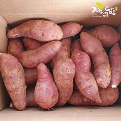 자연을담음 황토 해남 꿀고구마(베니하루카) 5kg 특상 외